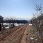 باغ 600 متری دیوارکشی شده در روستای جابان