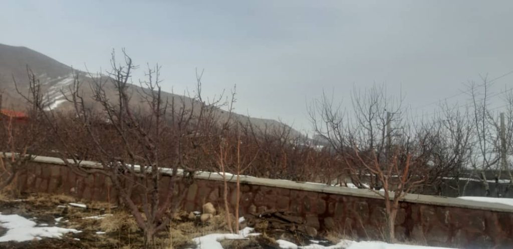 باغچه 3000 متری سه کله در منطقه جابان