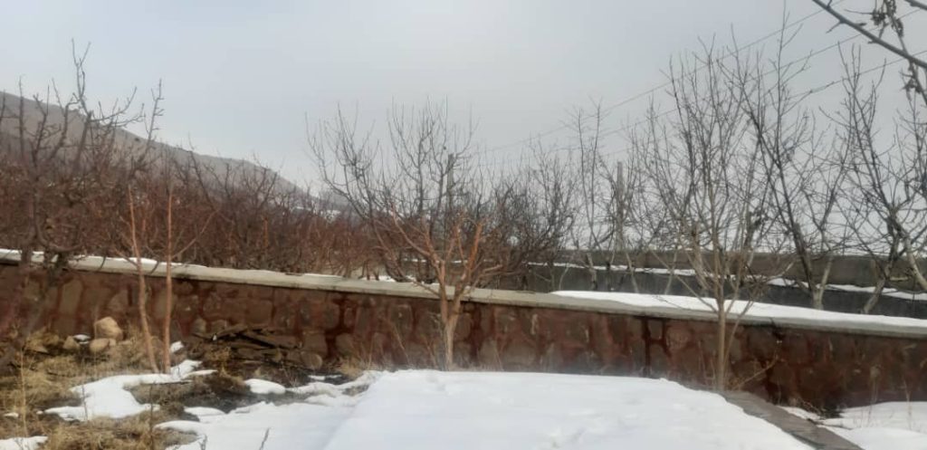 باغچه 3000 متری سه کله در منطقه جابان