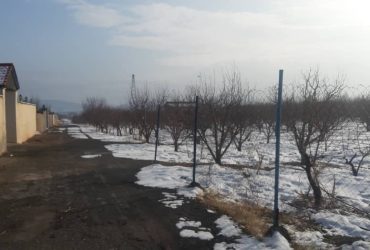 باغچه 3000 متری سه کله در منطقه جابان