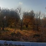 باغچه 600 متری سند دار در منطقه جابان