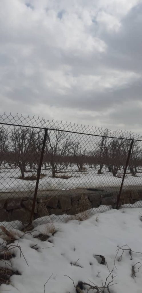 باغچه ۵۰۰ متری داخل شهرکی در جابان