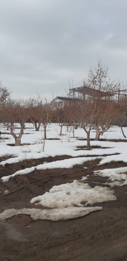 باغچه ۵۰۰ متری داخل شهرکی در جابان