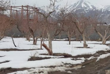 باغچه ۵۰۰ متری داخل شهرکی در جابان