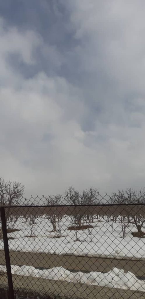 باغچه ۵۰۰ متری داخل شهرکی در جابان