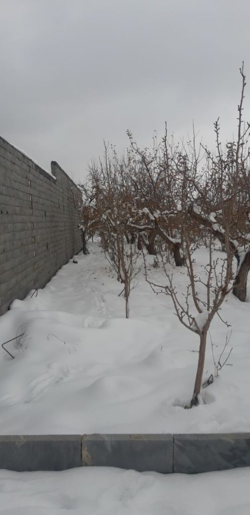 زمین 200 متری داخل بافت روستای جابان