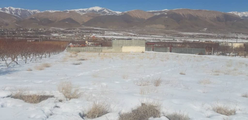 زمین و باغچه 2000 متری در روستای جابان