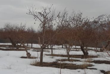 باغچه ۳۰۰متری شهرکی با موقعیت مناسب در جابان