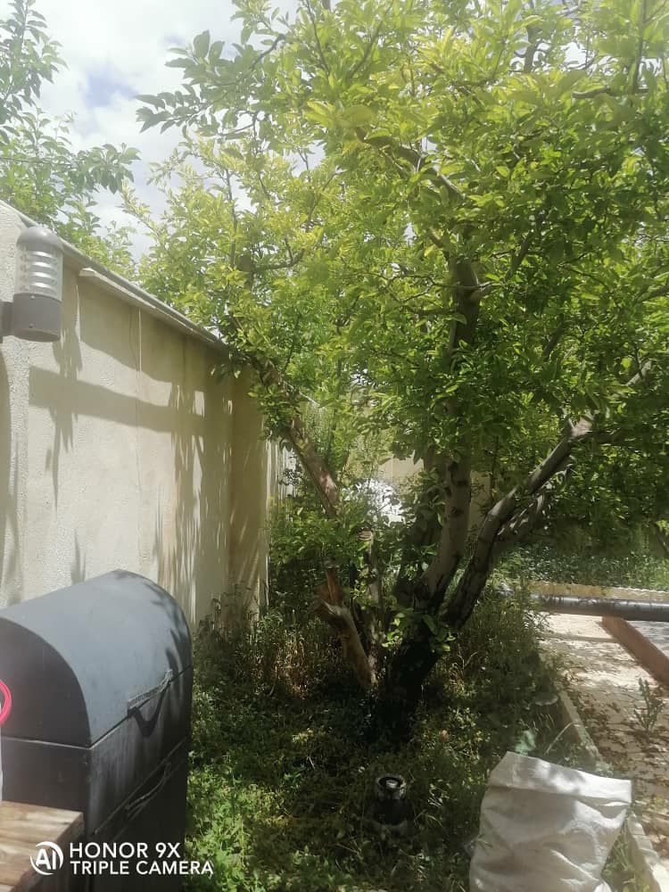 ویلا 400 متری باغستان جابان