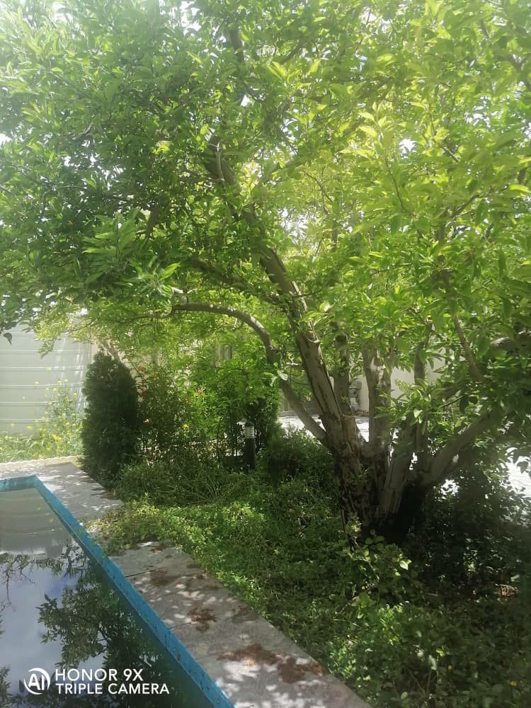 ویلا 400 متری باغستان جابان