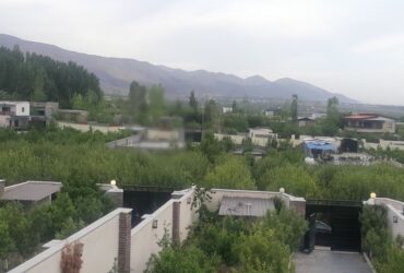 باغچه300متری جابان