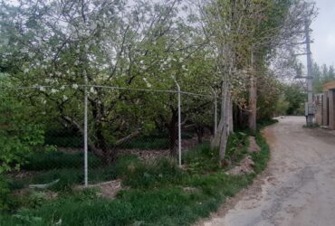 جابان زمین 200متری داخل بافت