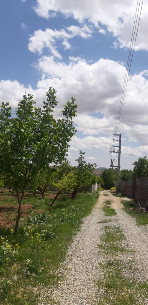 باغچه 700متر باسندتکبرگ و اتاقک40متری