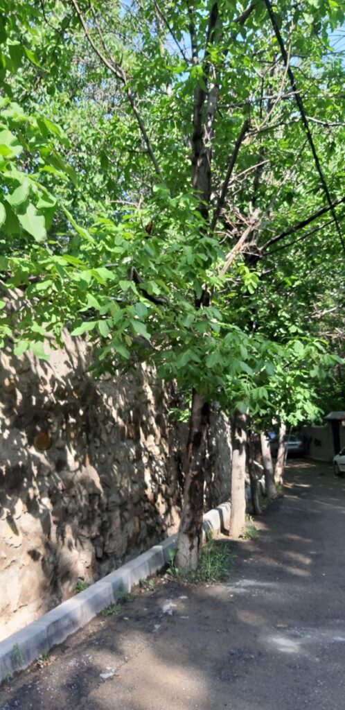 باغچه وخونه قدیمی در ایئنورزان دماوند