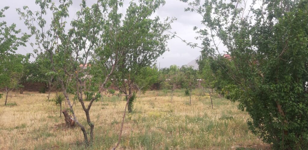 باغچه 2000متری  در جابان در خیابان گلستان