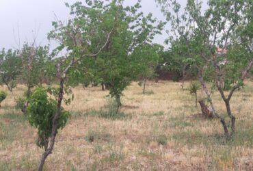 باغچه 2000متری  در جابان در خیابان گلستان