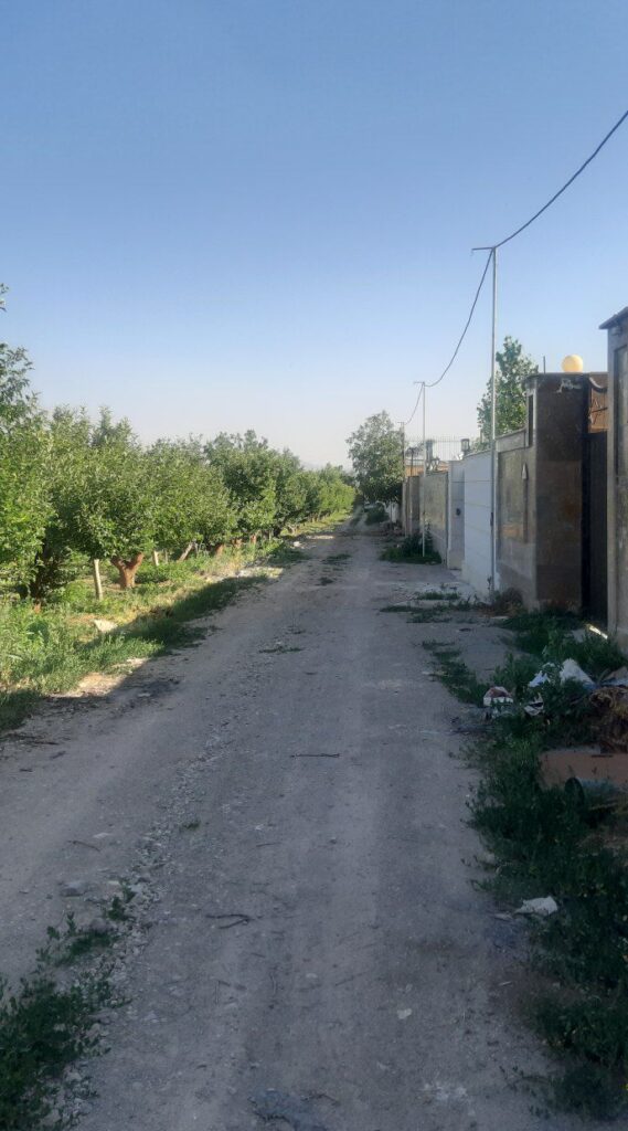 جابان باغچه 300متری دیوارشده