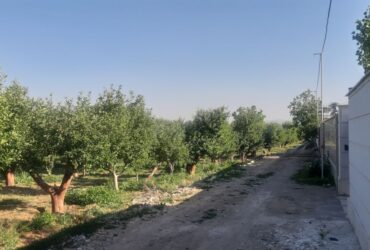 جابان باغچه 300متری دیوارشده