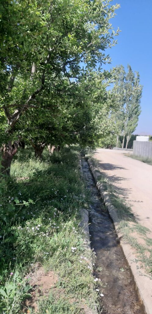 جابان باغچه 500متری