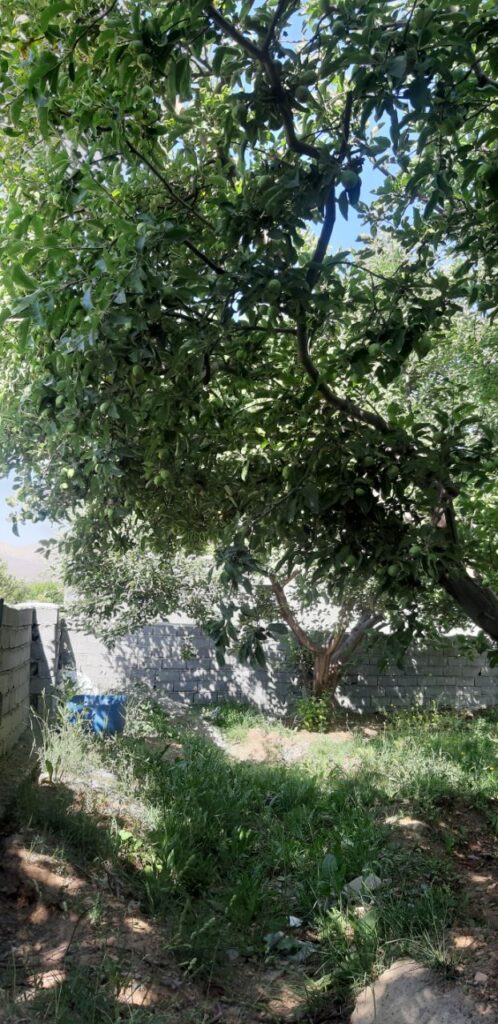 جابان باغچه 500متری