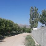 جابان باغچه 500متری