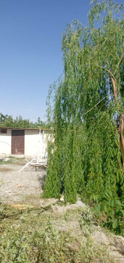 جابان باغچه بابناقدیمی