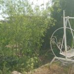 جابان باغچه بابناقدیمی