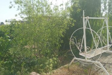 جابان باغچه بابناقدیمی