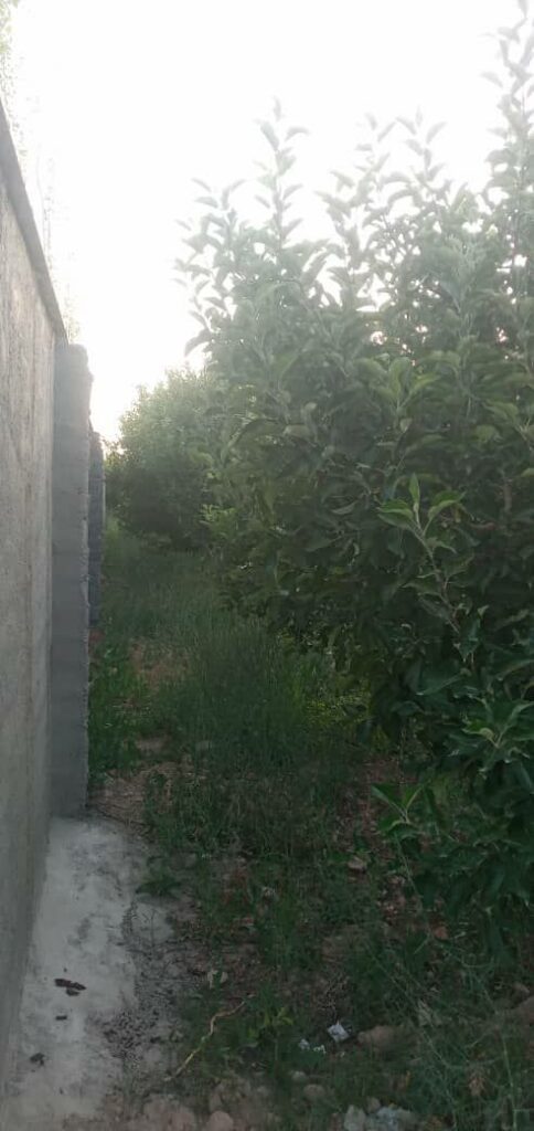 جابان فروش باغچه 1000متر فروش به دلخواه