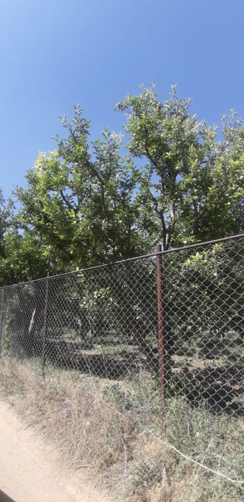 جابان باغچه 400متری