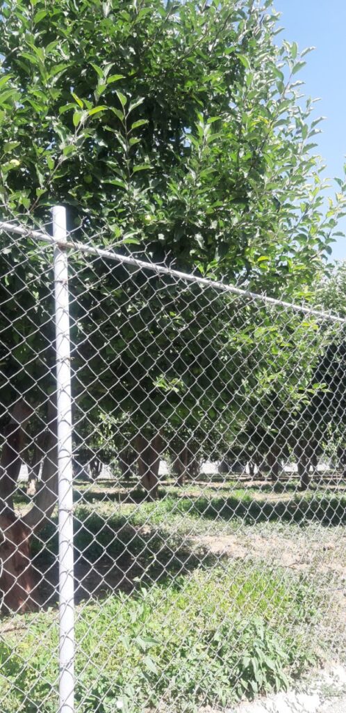 جابان باغچه 400متری