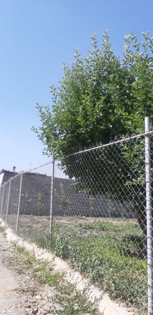 جابان باغچه 400متری