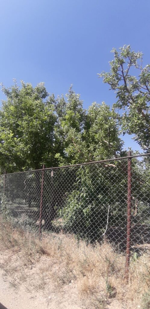 جابان باغچه 400متری