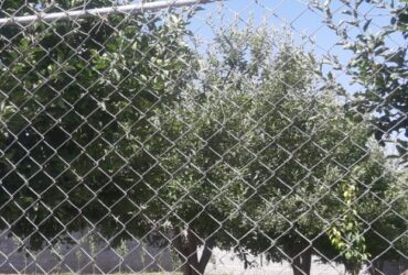 جابان باغچه 400متری