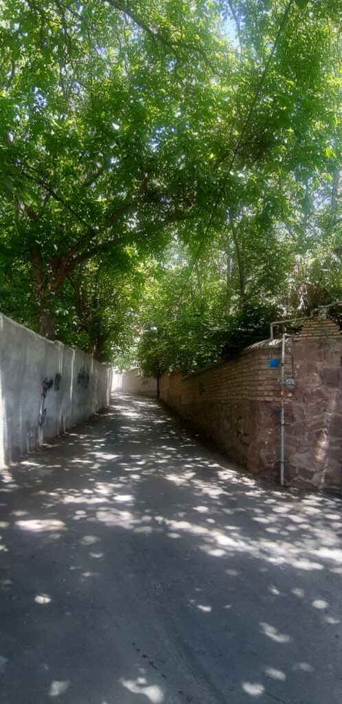 جابان باغ 1000متری داخل بافت