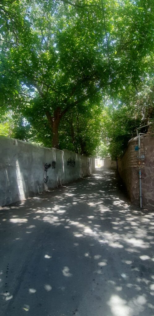 جابان باغ 1000متری داخل بافت