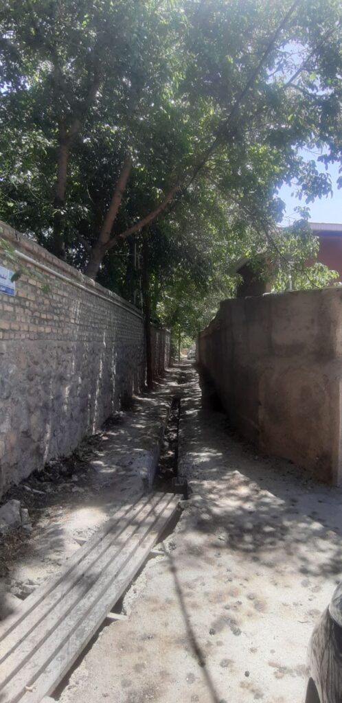 جابان باغ 1000متری داخل بافت