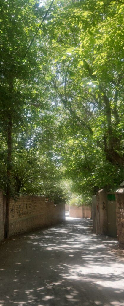 جابان باغچه قدیمی بافت