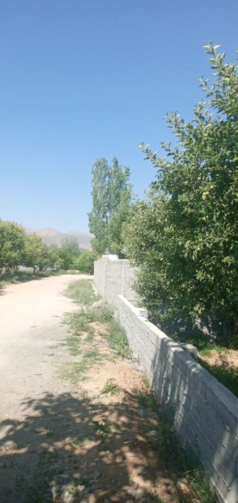 جابان باغچه 280 متری دیوار شده