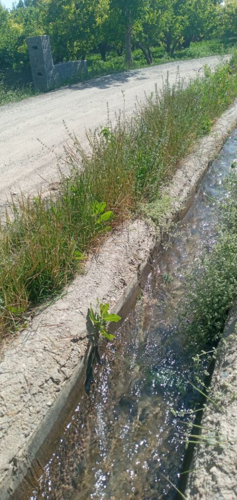 جابان باغچه 280 متری دیوار شده