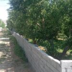 جابان باغچه 280 متری دیوار شده
