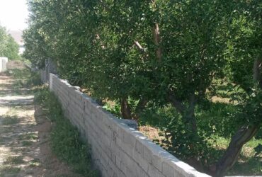 جابان باغچه 280 متری دیوار شده