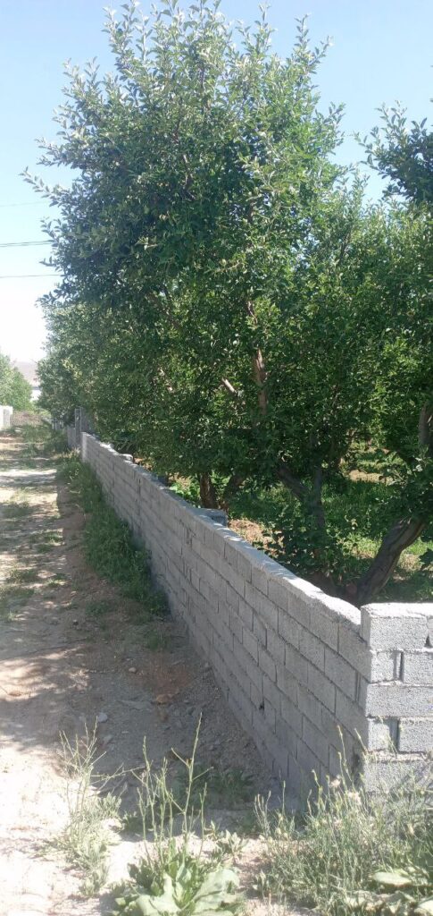 جابان باغچه 280 متری