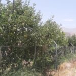 جابان باغچه 500متری