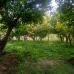 جابان باغچه 720 متری