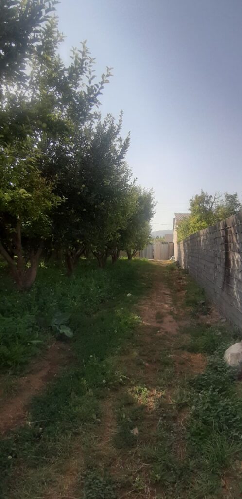 جابان فروش باغچه 400متری دیوار شده