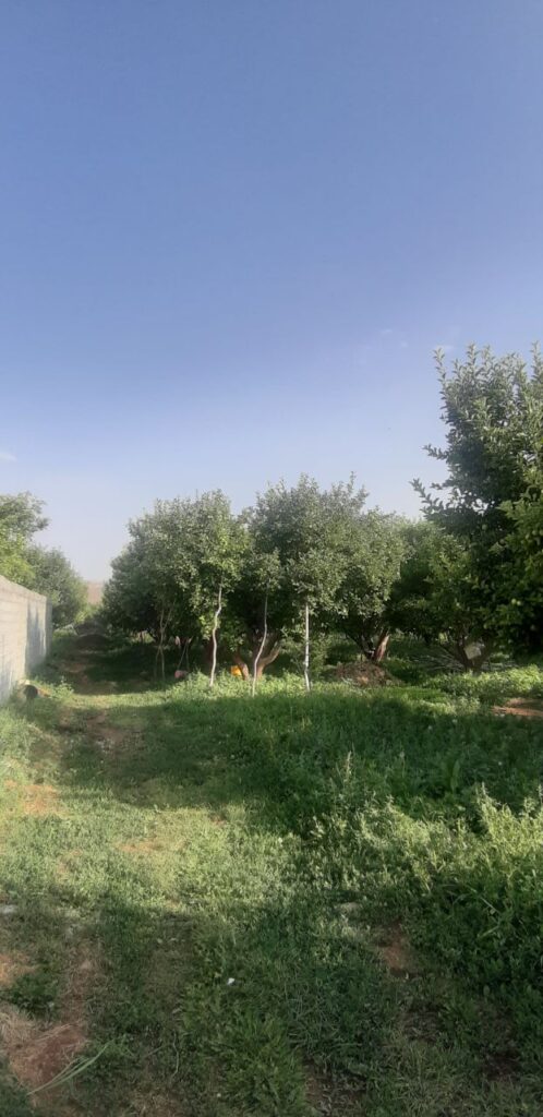 جابان فروش باغچه 400متری دیوار شده