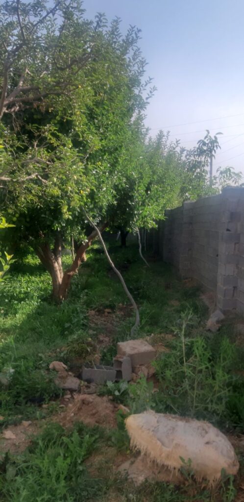 جابان فروش باغچه 400متری دیوار شده