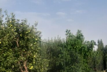 جابان باغچه 600 متری