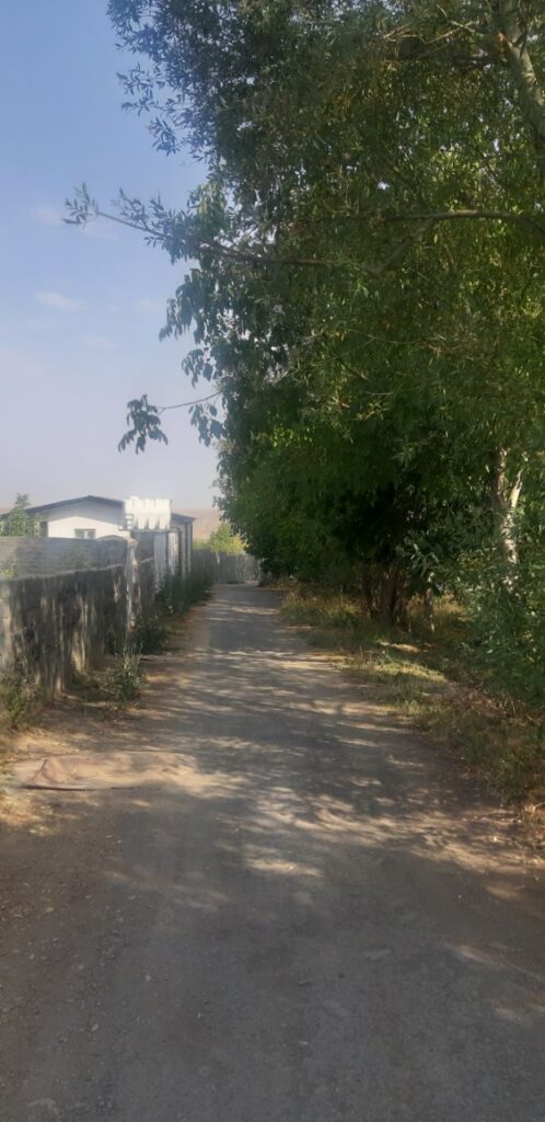 جابان فروش باغ با درختان سیب